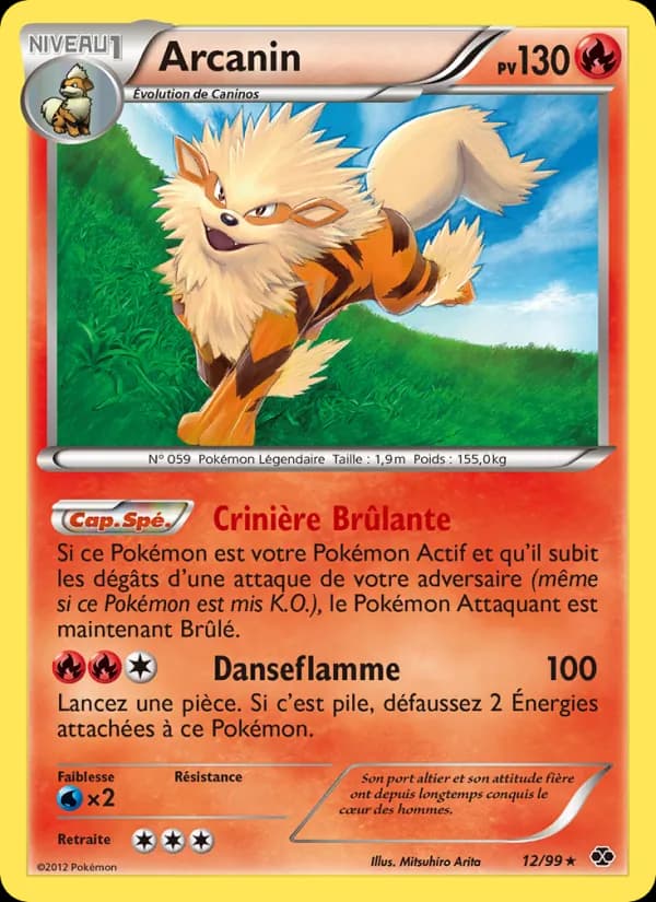 Arcanin 12 — Destinées Futures