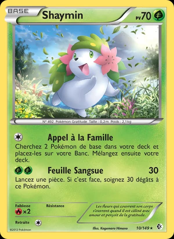 Shaymin 10 — Frontières Franchies