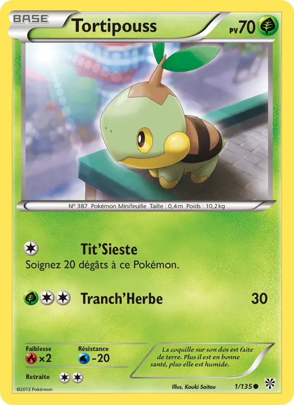 Tortipouss 1 — Tempète Plasma