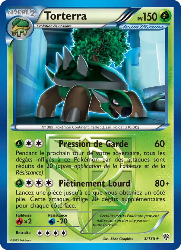 Torterra 3 — Tempète Plasma