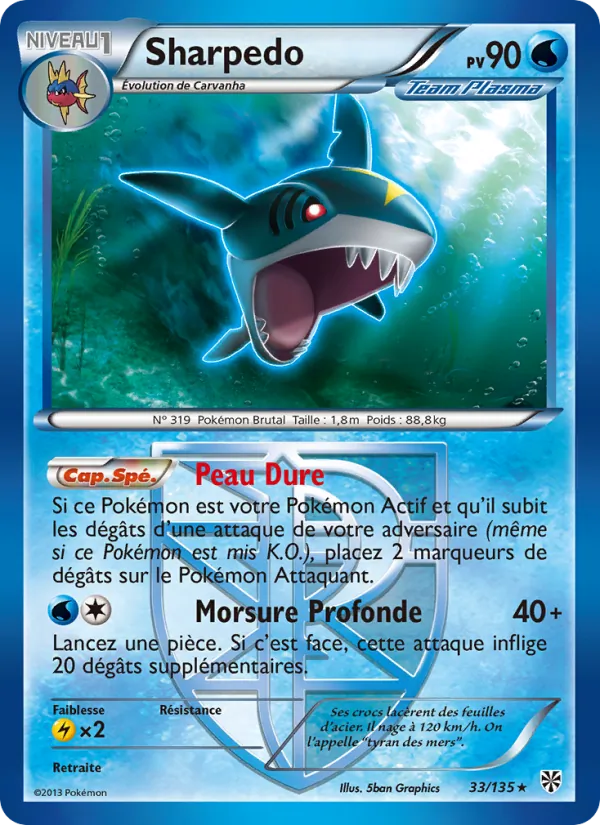 Sharpedo 33 — Tempète Plasma