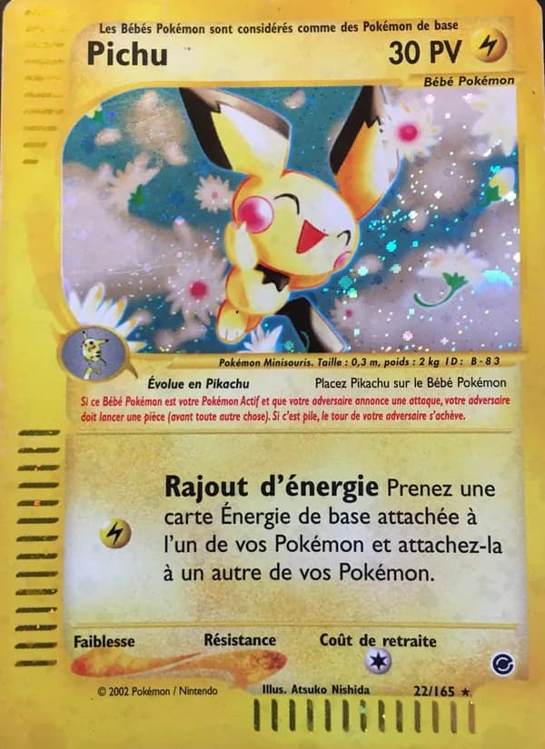 Pichu 22 — Expedition