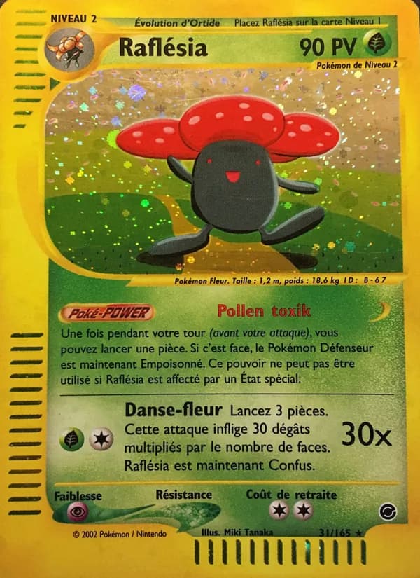 Raflésia 31 — Expedition