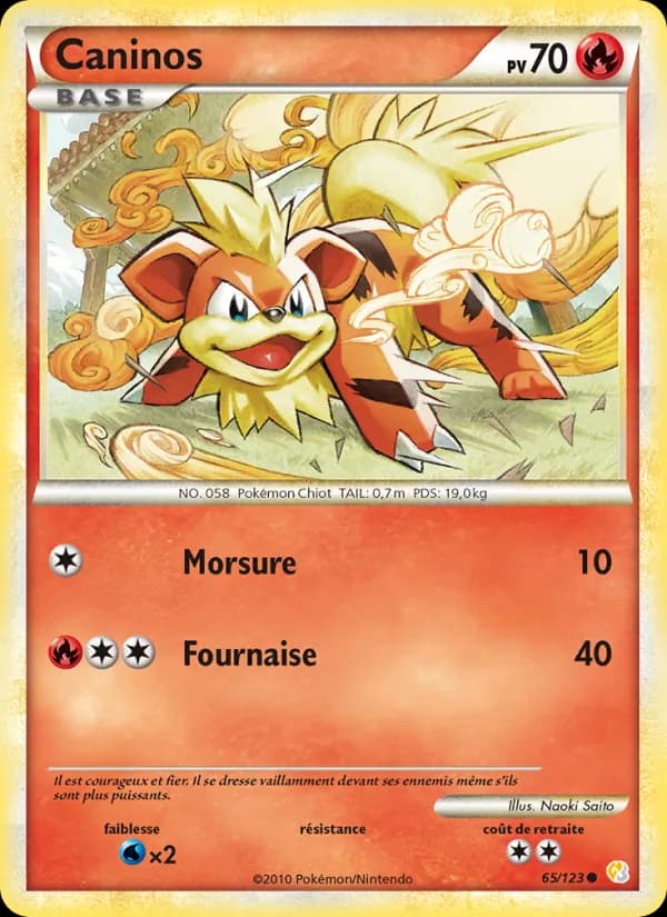 Caninos 65 — HeartGold SoulSilver