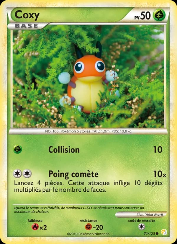 Coxy 71 — HeartGold SoulSilver
