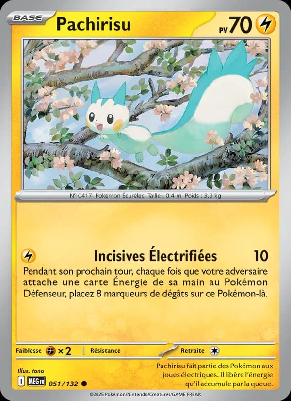 Pachirisu 051 — Méga-Évolution