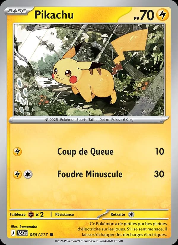 Pikachu 055 — Héros Transcendants