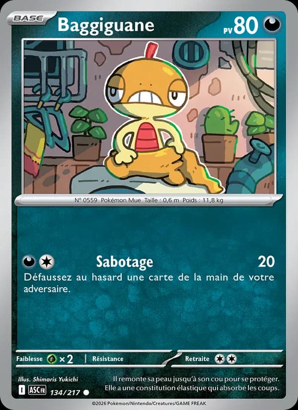 Baggiguane 134 — Héros Transcendants