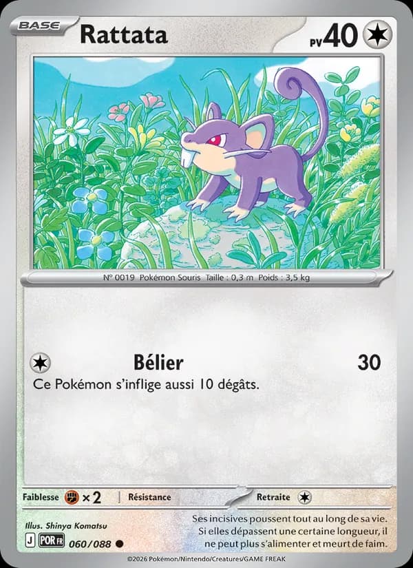 Rattata 060 — Équilibre Parfait
