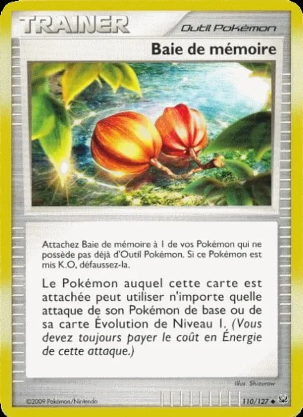 Baie de mémoire 110 — Platine