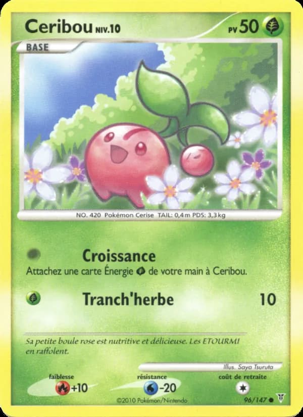 Ceribou 96 — Vainqueurs Suprêmes