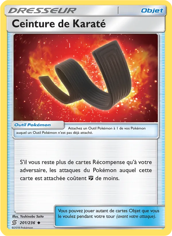 Ceinture de Karaté 201 — Harmonie des Esprits