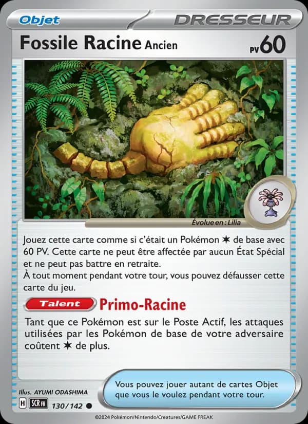 Fossile Racine Ancien 130 — Couronne Stellaire