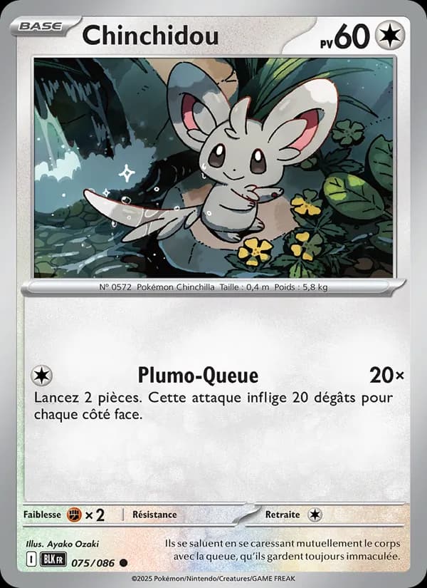 Chinchidou 075 — Foudre Noire