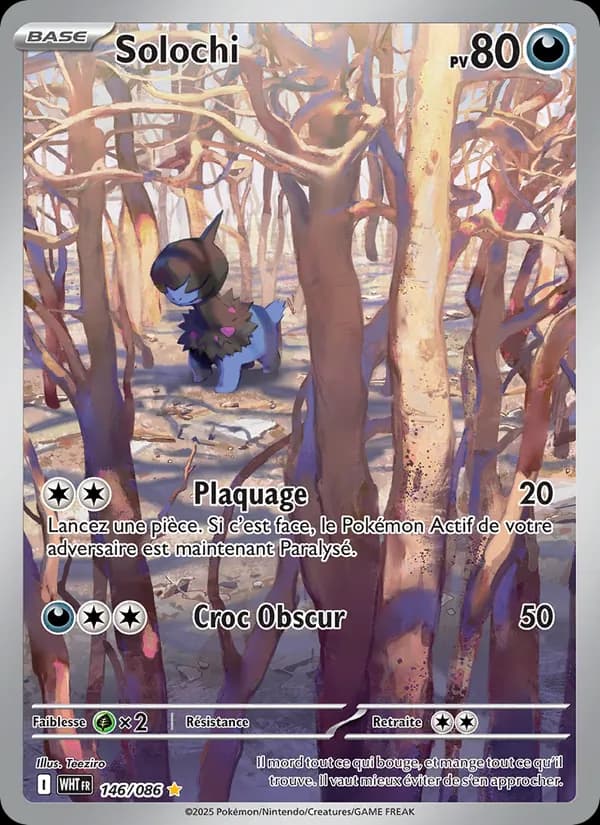 Solochi 146 — Flamme Blanche