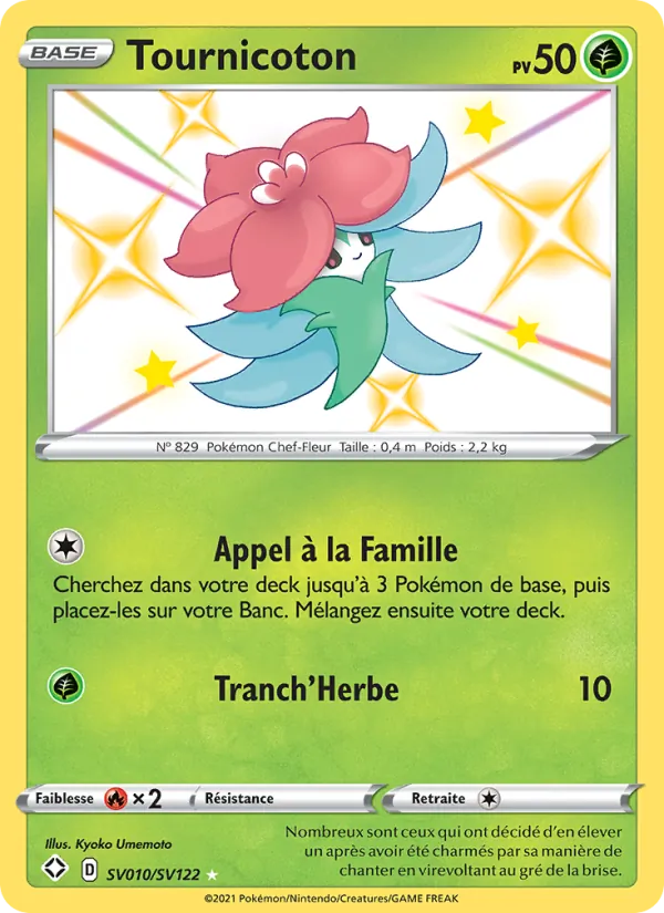 Tournicoton SV010 — Destinées Radieuses
