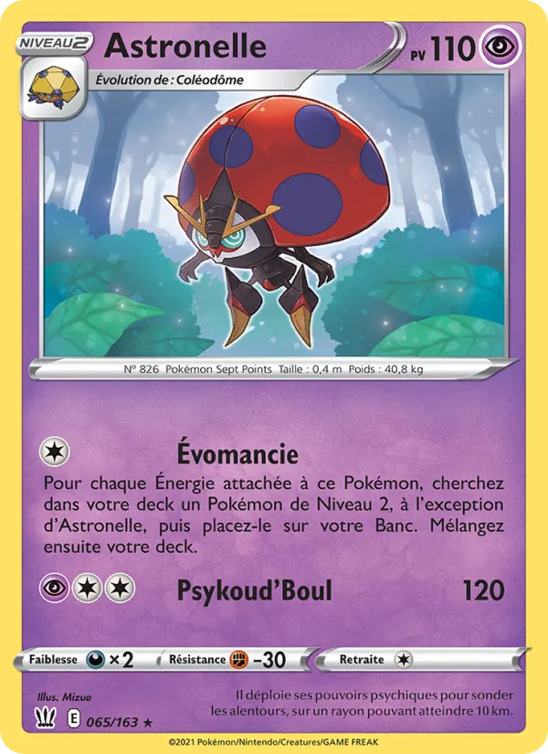 Astronelle 65 — Styles de combat