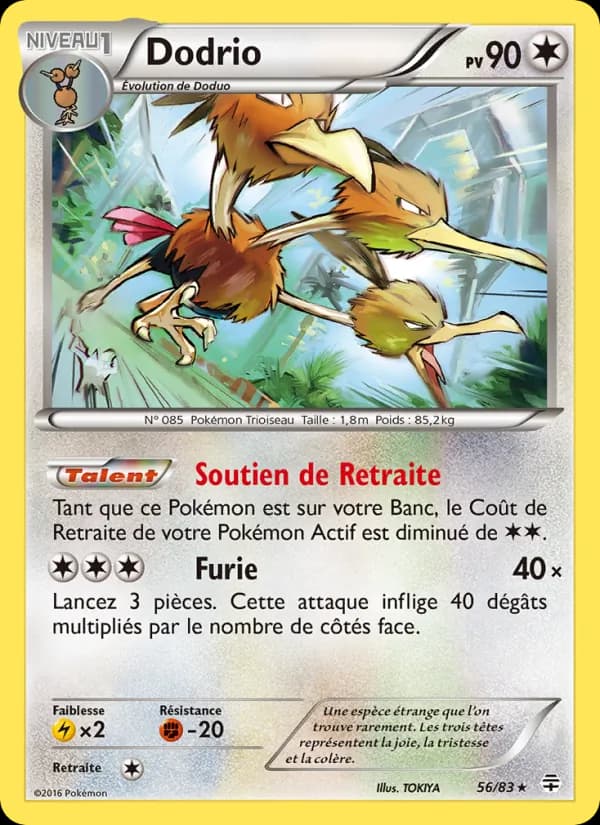 Dodrio 56 — Générations