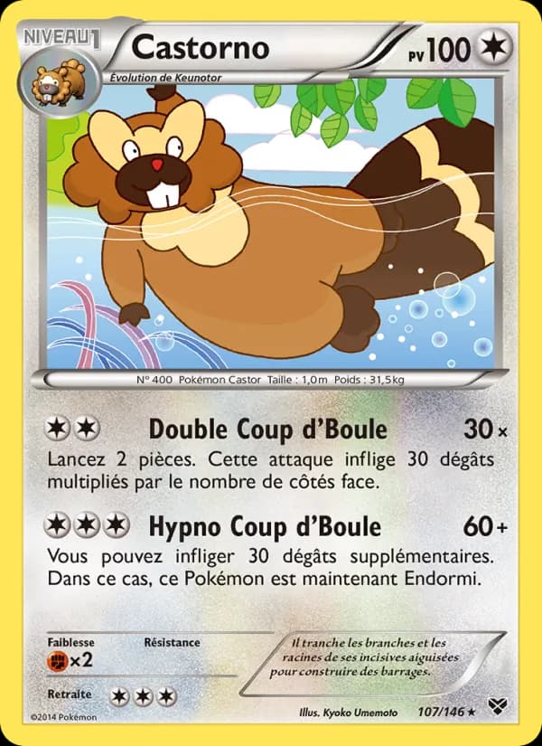 Castorno 107 — XY