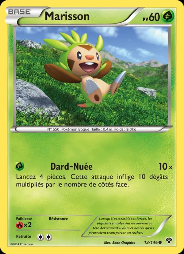 Marisson 12 — XY
