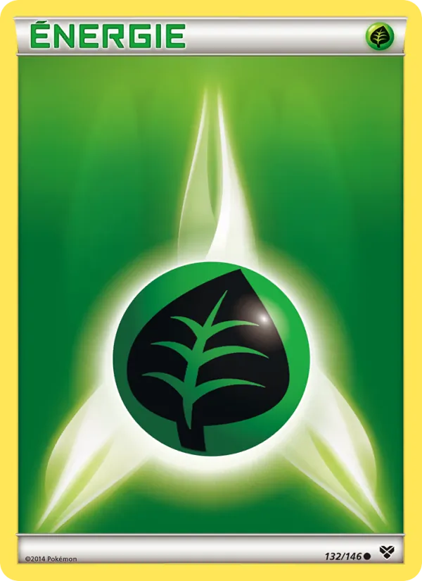 Énergie Plante 132 — XY