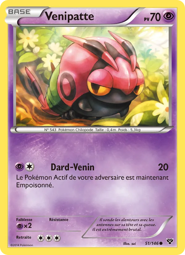 Venipatte 51 — XY
