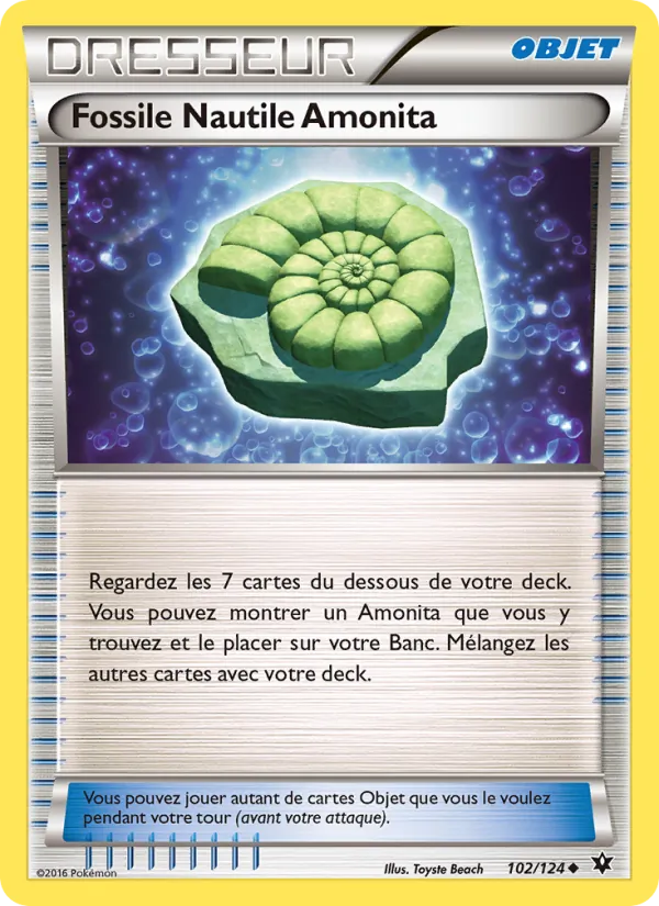 Fossile Nautile Amonita 102 — Impact des Destins