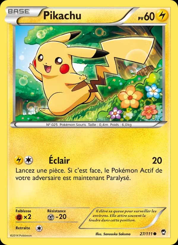 Pikachu 27 — Poings Furieux
