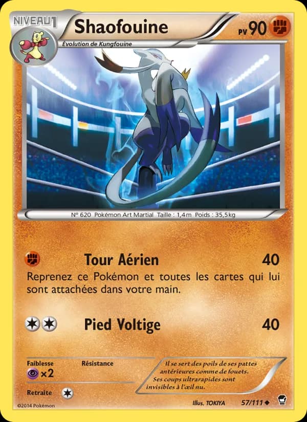 Shaofouine 57 — Poings Furieux