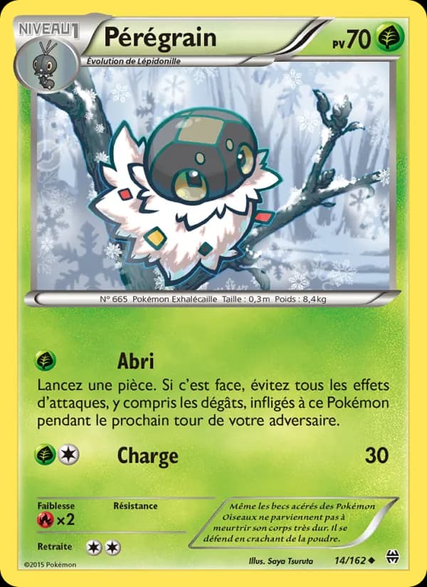 Pérégrain 14 — Impulsion Turbo