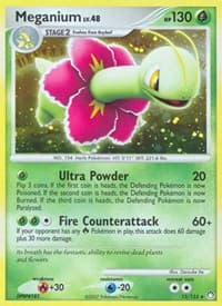 Meganium 13