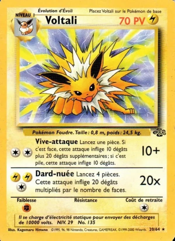 Voltali 20 — Jungle