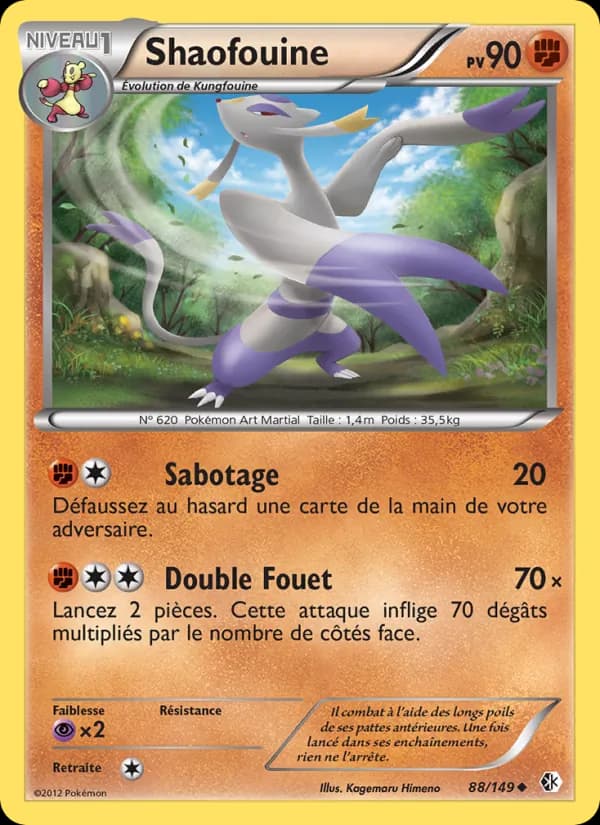 Shaofouine 88 — Frontières Franchies