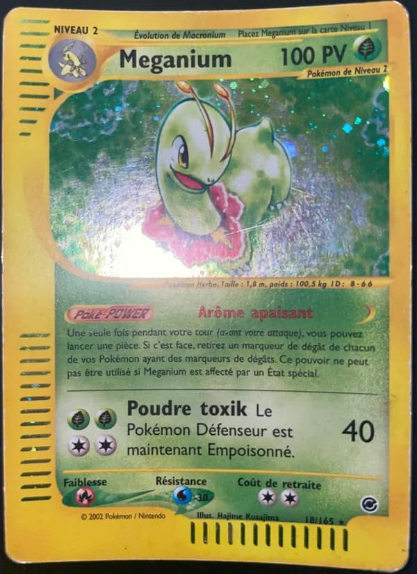 Meganium 18 — Expedition