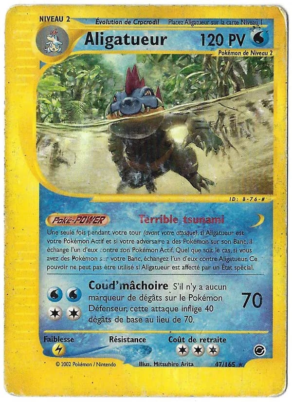 Aligatueur 47 — Expedition