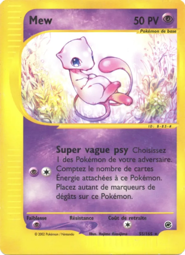 Mew 55 — Expedition