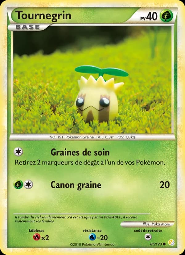 Tournegrin 85 — HeartGold SoulSilver