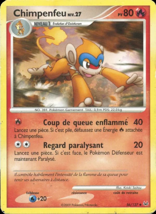 Chimpenfeu 56 — Platine