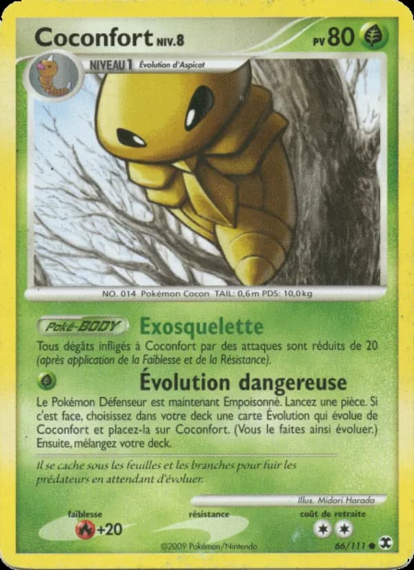 Coconfort Niv. 8 66 — Rivaux Émergeants