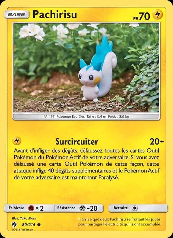 Pachirisu 80 — Tonnerre Perdu