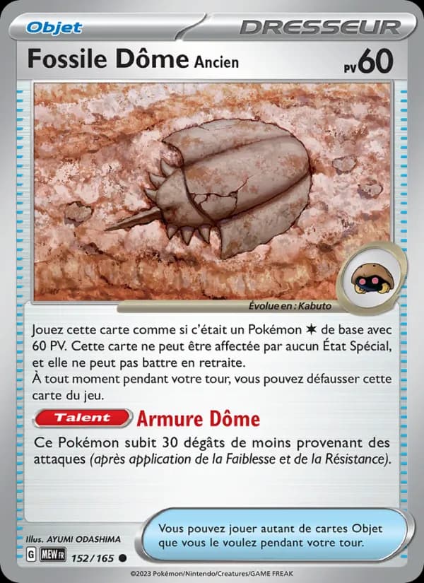 Fossile Dôme Ancien 152 — 151