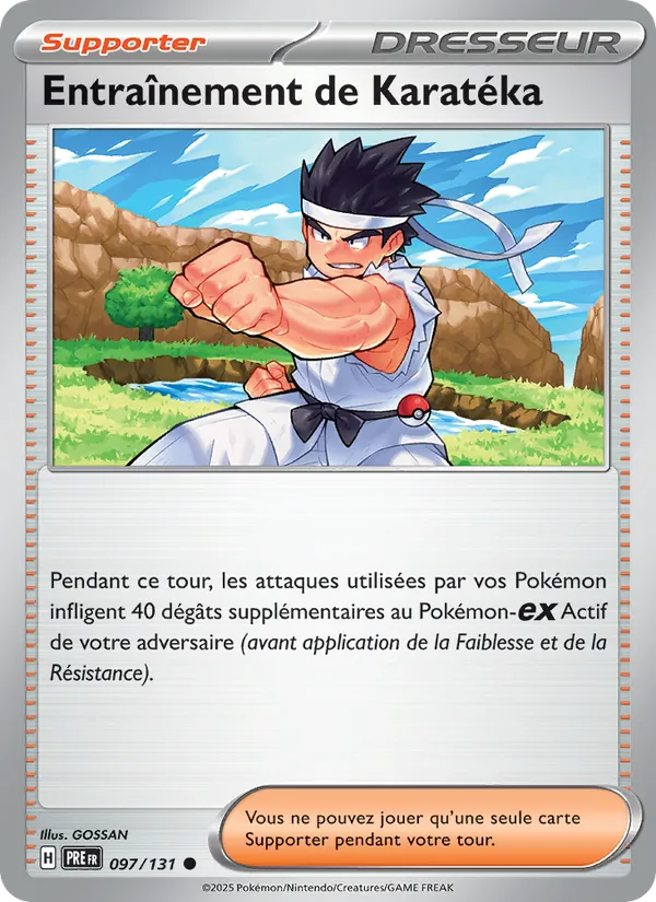 Entraînement de Karatéka 097 — Évolutions Prismatiques