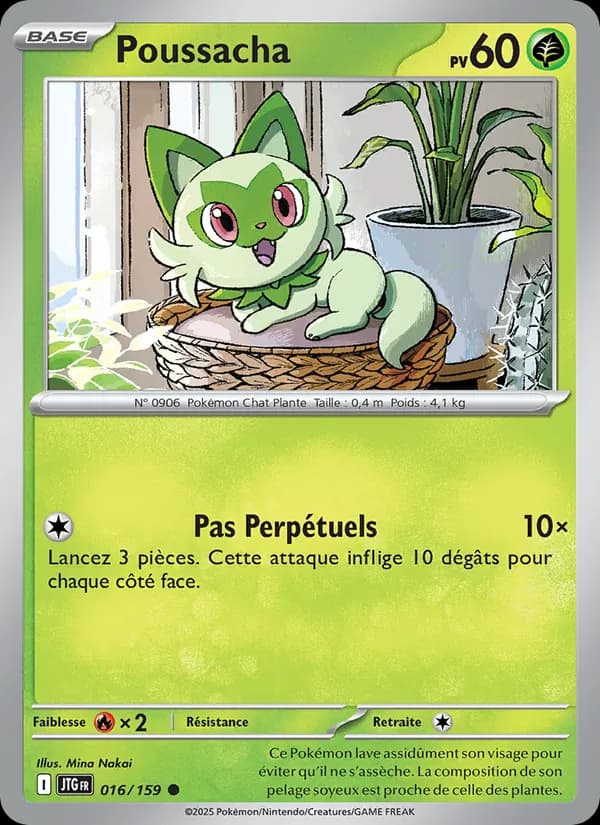 Poussacha 016 — Aventures Ensemble