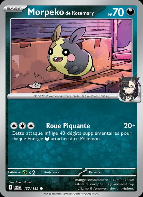 Morpeko de Rosemary 137 — Rivalités Destinées