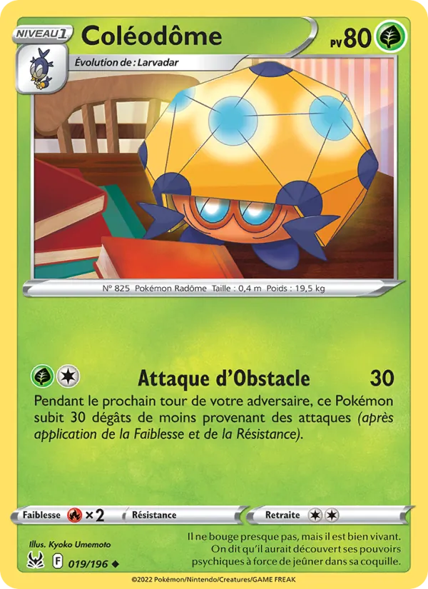 Coléodôme 019 — Origine Perdue