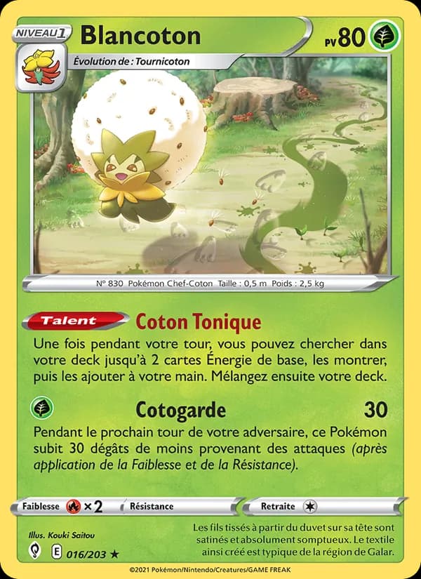 Blancoton 16 — Évolution Céleste