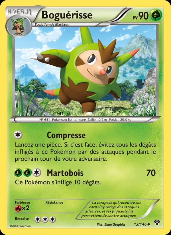 Boguérisse 13 — XY