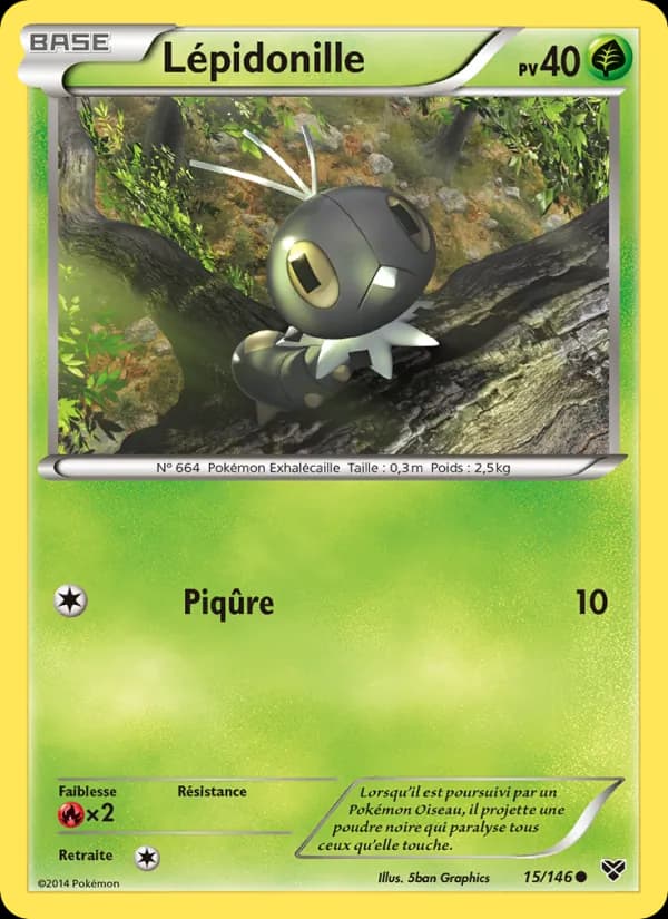 Lépidonille 15 — XY