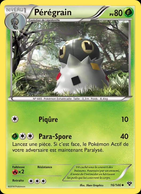 Pérégrain 16 — XY