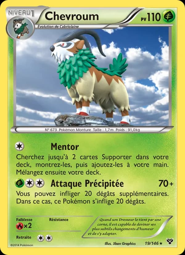 Chevroum 19 — XY